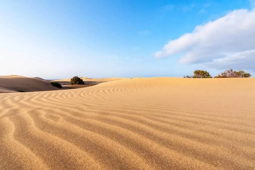 Appartamento Duplex Con Jardin Y Buenas Vistas Maspalomas  Maspalomas (Gran Canaria)